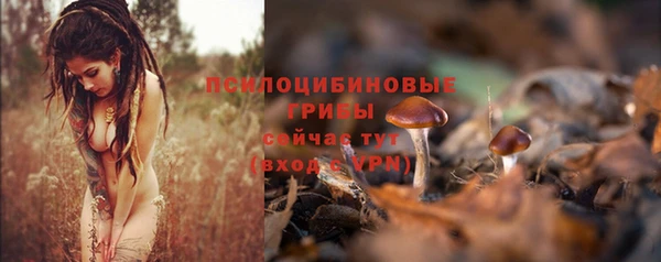 стафф Надым