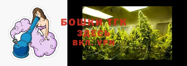 стафф Надым