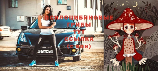 ПСИЛОЦИБИНОВЫЕ ГРИБЫ Тутаев