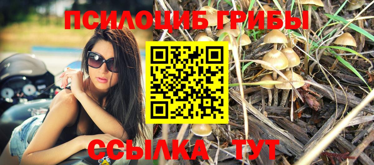 Псилоцибиновые грибы GOLDEN TEACHER  Электросталь 