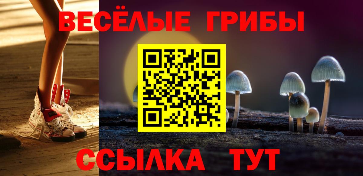 Псилоцибиновые грибы GOLDEN TEACHER Электросталь